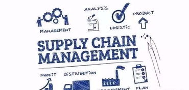 專業(yè)咨詢公司中需要精通供應(yīng)鏈管理的部門