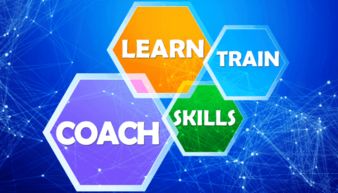 企業(yè)戰(zhàn)略管理與企業(yè)管理咨詢 雙輪驅(qū)動組織卓越